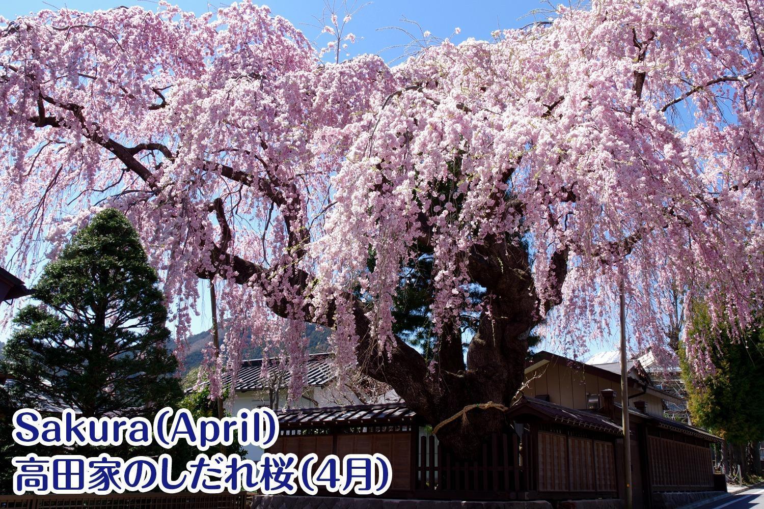 Nikko Stay House Arai - Vacation Stay 14994V Exteriör bild